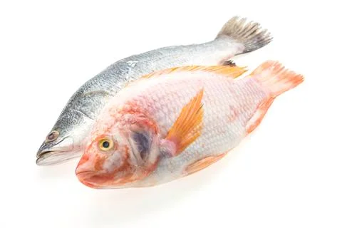 Raw fresh fish isolated on white background Stock Photos