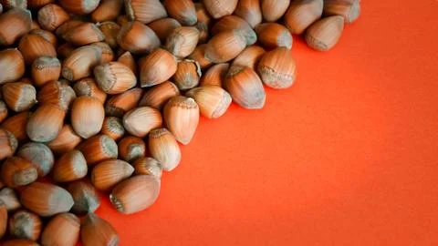 Raw fresh hazelnuts on orange background copy space Stock Photos