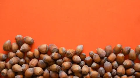Raw fresh hazelnuts on orange background copy space Foto stock