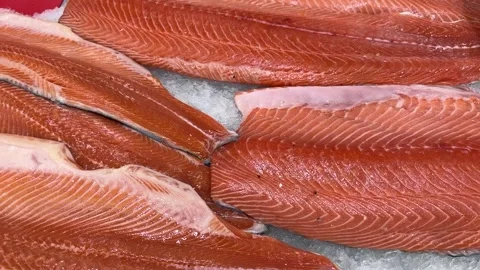 Raw fresh layers of Atlantic salmon lie on shallow ice at the seafood market. An Stock Footage 301136213