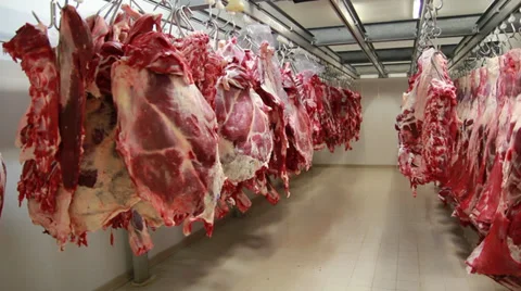 Raw, fresh meat at cold storage Stock Footage 32762202