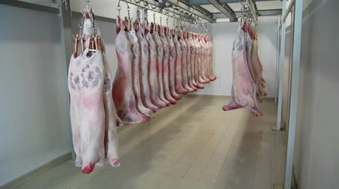Raw, fresh meat storage Stock Footage 32765556