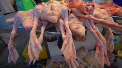 Raw Fresh Poultry duck meat selling at market Stock Footage 66584523