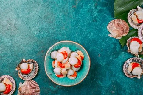 Raw fresh seafood shellfish scallops on blue background Stock Photos
