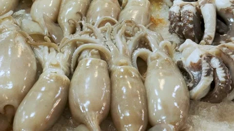 Raw fresh squids and octopuses lying on ice counter at seafood market in Athens Stock-Footage 258237705