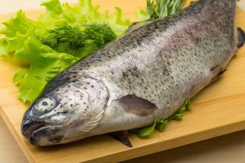 Raw fresh trout Stock Photos