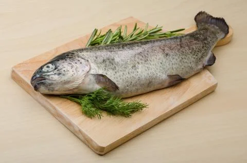 Raw fresh trout Stock Photos