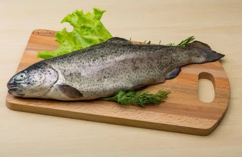 Raw fresh trout Stock Photos