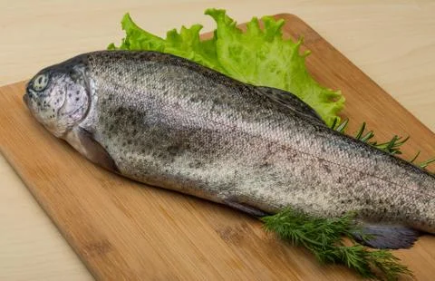 Raw fresh trout Stock Photos