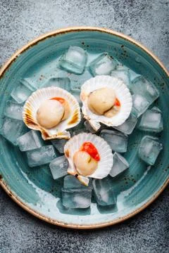 Raw fresh uncooked scallops Stock Photos