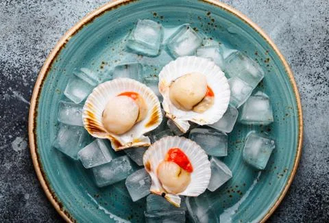 Raw fresh uncooked scallops 스톡 사진