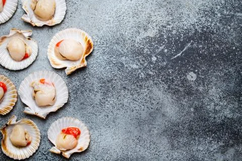 Raw fresh uncooked scallops Stock Photos