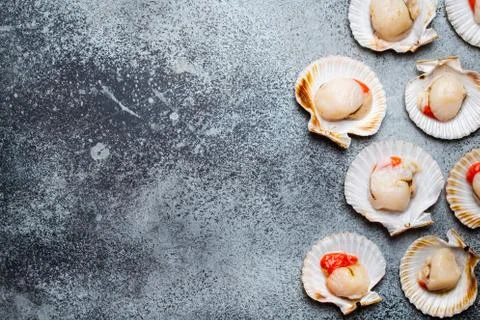 Raw fresh uncooked scallops 스톡 사진