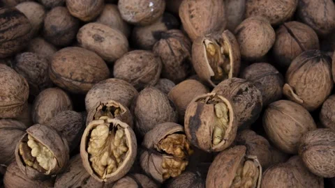 Raw fresh walnuts in strong shell. View from above. 4K video with rotation Stock Footage 248922832