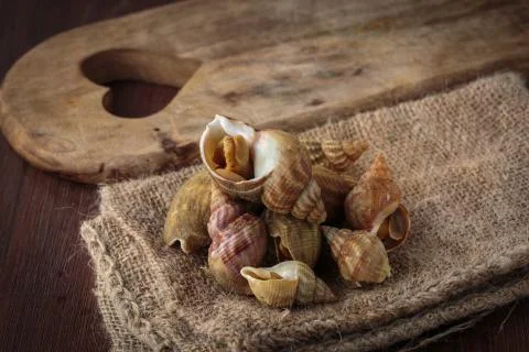 Raw fresh whelks 写真素材