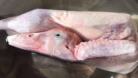 Raw frozen duck Видео 335869767