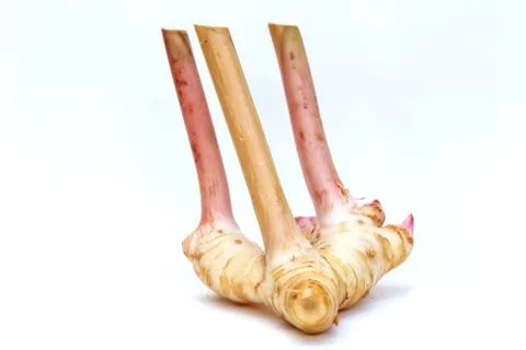 Raw galagal Stock Photos