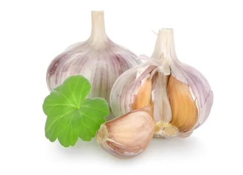 Raw garlic isolated Stock Photos