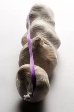 Raw garlic in the net bag Stock Photos