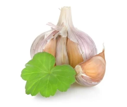 Raw garlic Stock Photos
