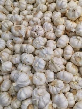 RAW GARLIC Stock Photos