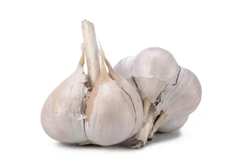 Raw garlic Stock Photos