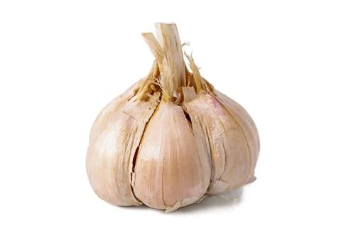 Raw garlic Stock Photos