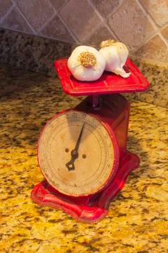 Raw garlic scale Stock Photos