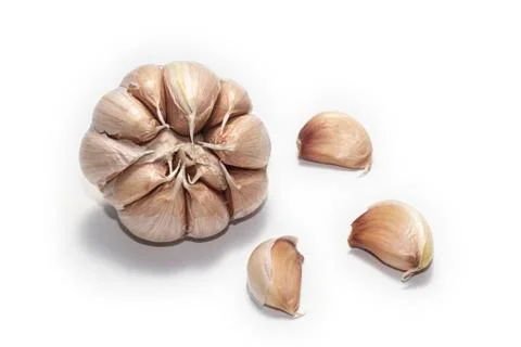 Raw garlic on white background Stock Photos