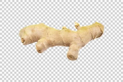 Raw ginger root with beige, textured skin and knobby, irregular shape isola.. Stock Photos
