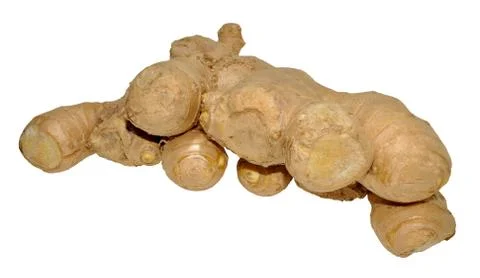 Raw Ginger Root Stock Photos