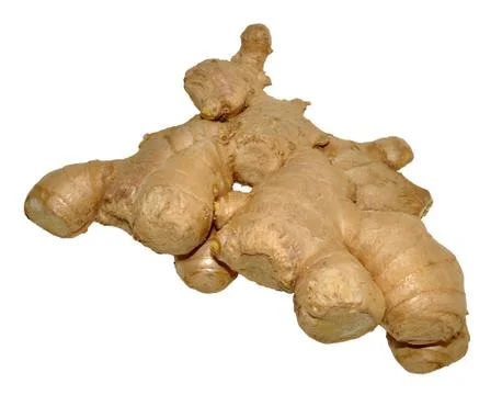 Raw Ginger Root Stock Photos