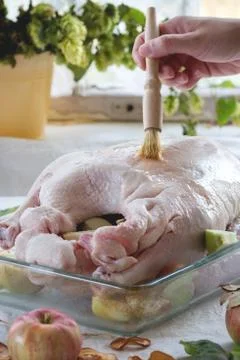 Raw goose Stock Photos