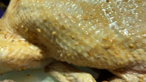 Raw goose ready for stuffing on the table Stock Footage 221427909