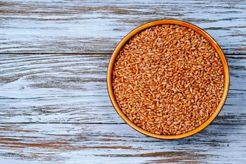 Raw grain in a plate Stock Photos