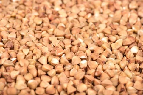 Raw grains of buckwheat Stock Photos
