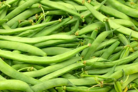 Raw green beans background, close up Stock Photos