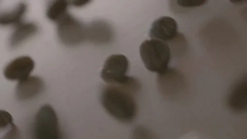 Raw green coffee beans falling down in slow motion Stock Footage 333113978