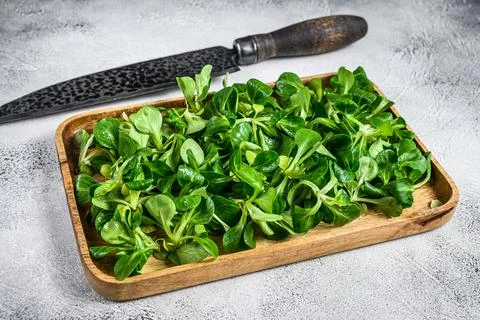 Raw green lambs lettuce Corn salad leaves in a wooden tray. White background Stock Photos