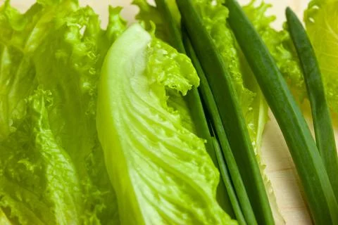 Raw green leaf vegetables, close-up. Background from fresh salad leaves and Stock Photos