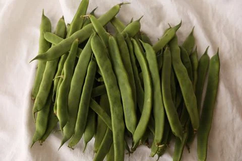 Raw green string beans on white background with copy space. Mock-up. Photos