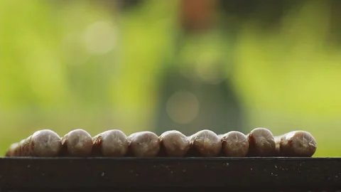 Raw grilled sausages on grid Video stock 159328551