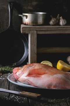 Raw grouper Foto stock