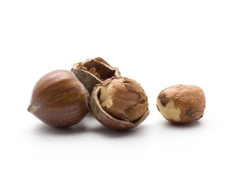 Raw hazelnut isolated on white Stock Photos