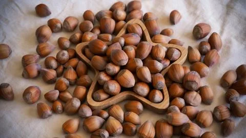 Raw hazelnuts on bamboo star shape plate Stock Photos