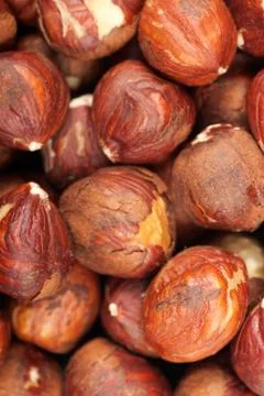 Raw hazelnuts Stock Photos