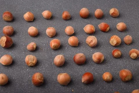 Raw hazelnuts in shells lay out in square shape on grey background Stock Photos