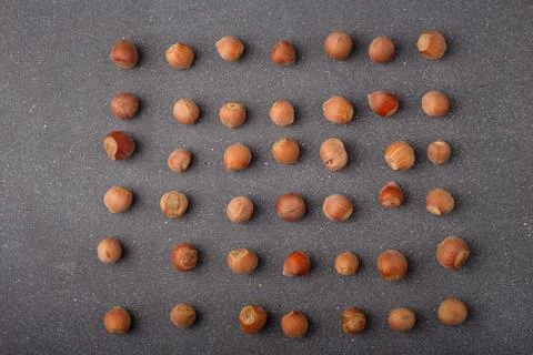 Raw hazelnuts in shells lay out in square shape on grey background Stock Photos