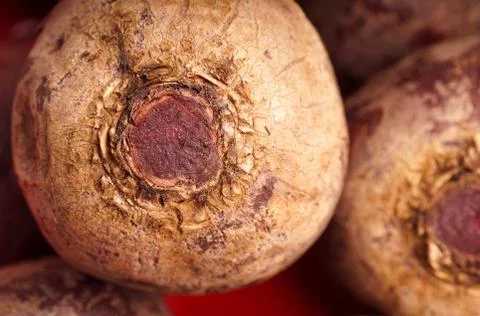 Raw healthy Beetroot Stock Photos