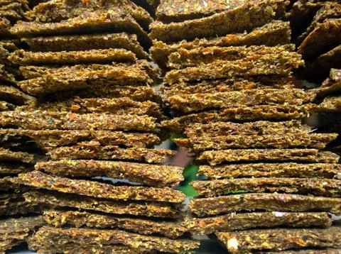 Raw homemade bread Stock Photos